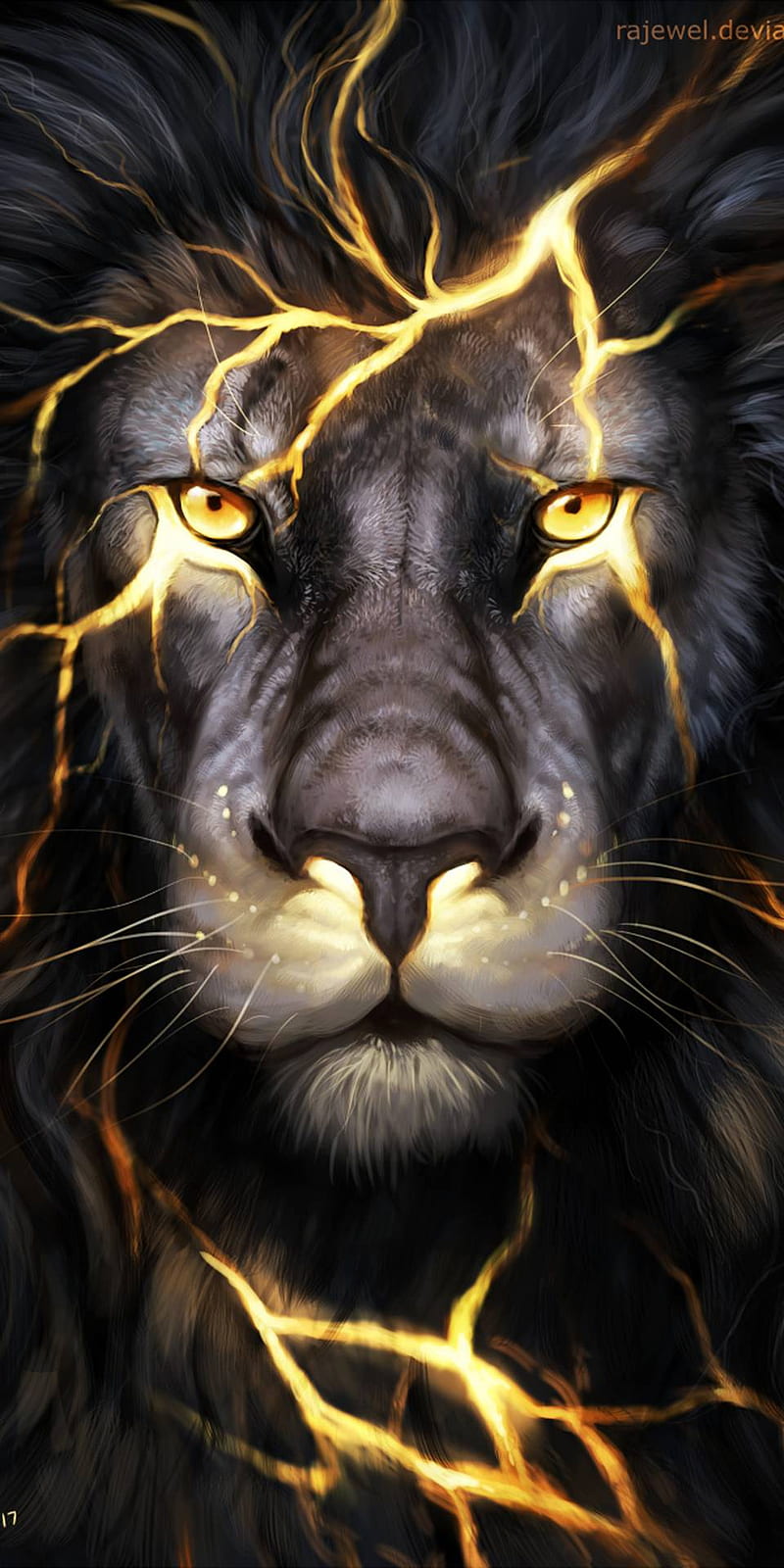Lion, black, HD phone wallpaper