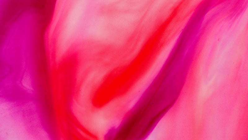 Pink Textile on White Textile, HD wallpaper