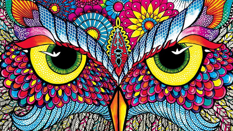 wise owl, owl, art, bird, abstract, HD wallpaper