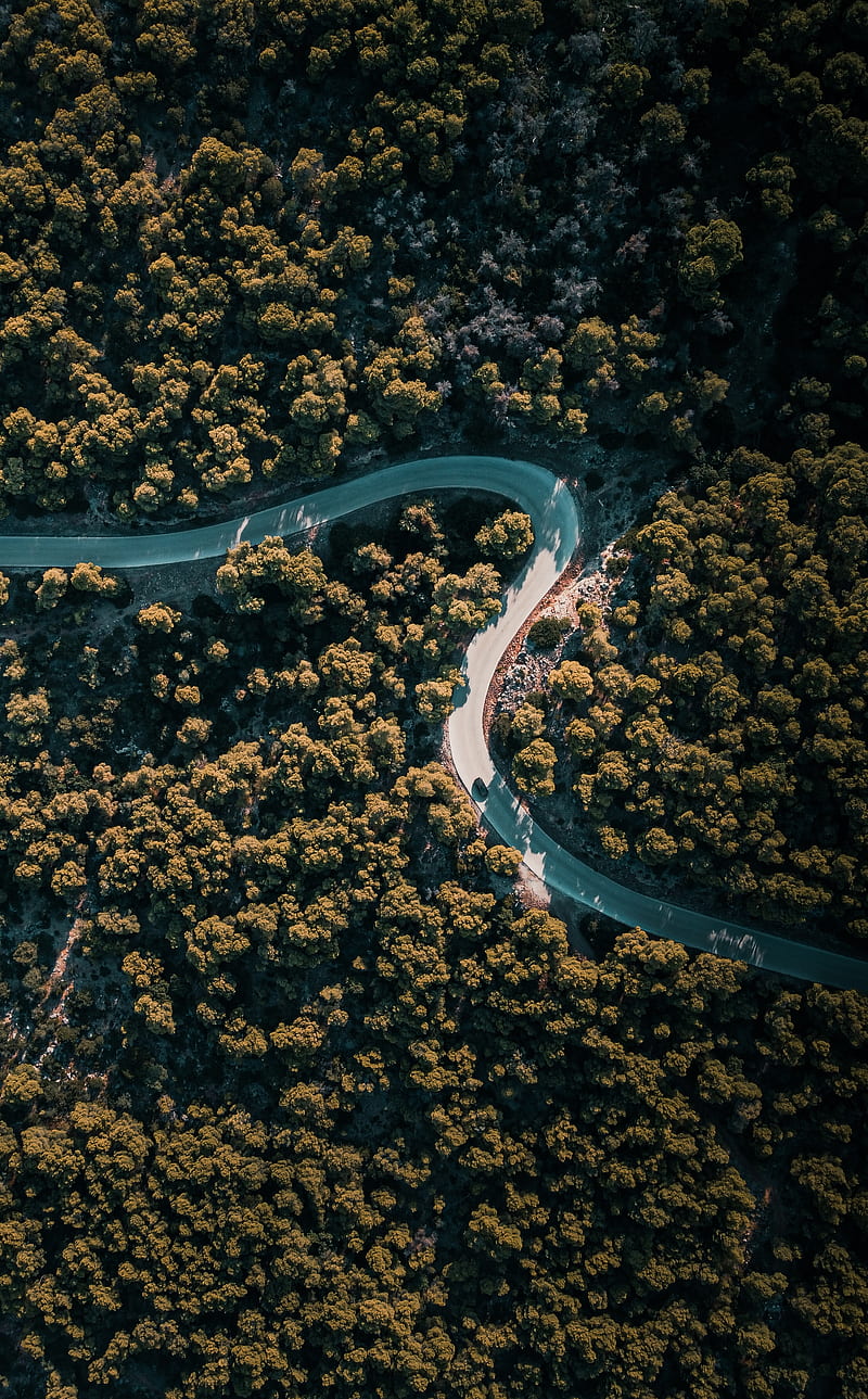 road, winding, aerial view, trees, nature, HD phone wallpaper
