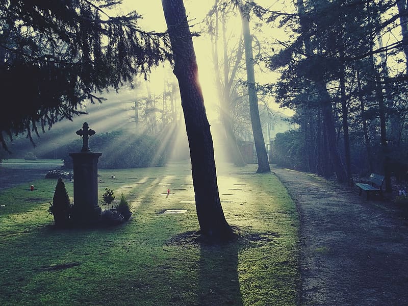 Light, Morning, Cross, Grave, Religious, Sunshine, Cemetery, Gravestone, HD wallpaper