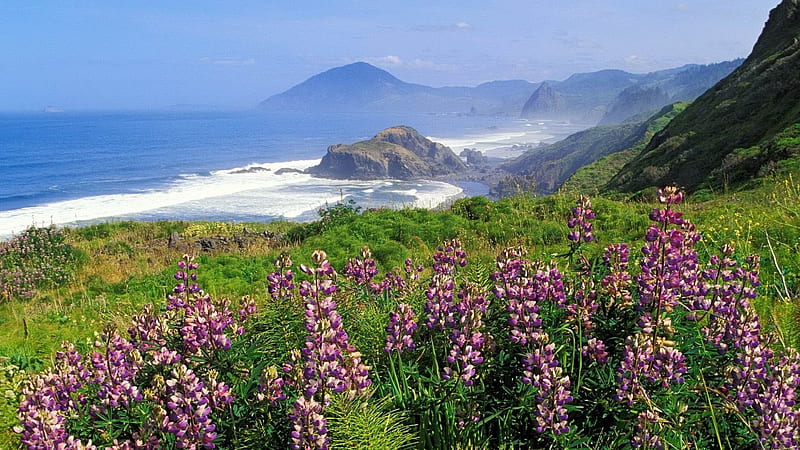mountains coast sea waves flowers greens-landscape, HD wallpaper