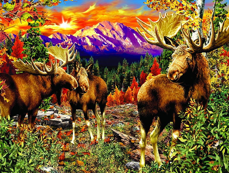 Mountain Glade, Mountain, sunset, Glade, animals, HD wallpaper