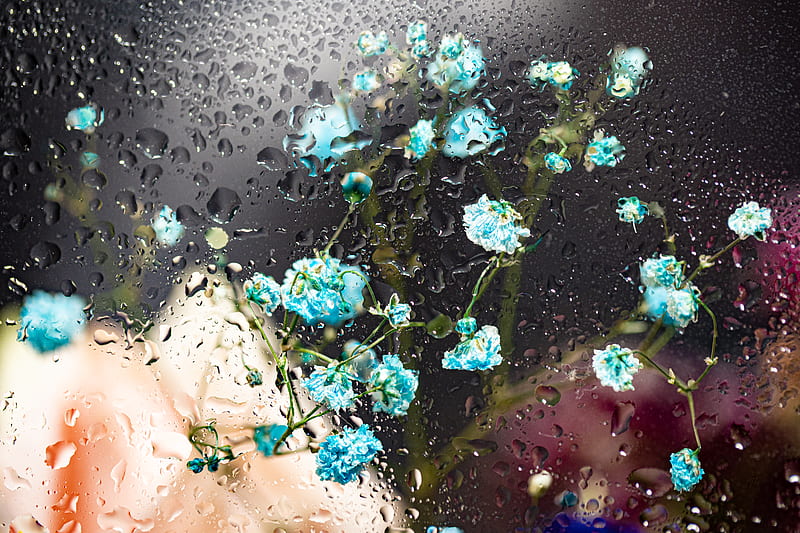 Water Droplets on Glass Window, HD wallpaper