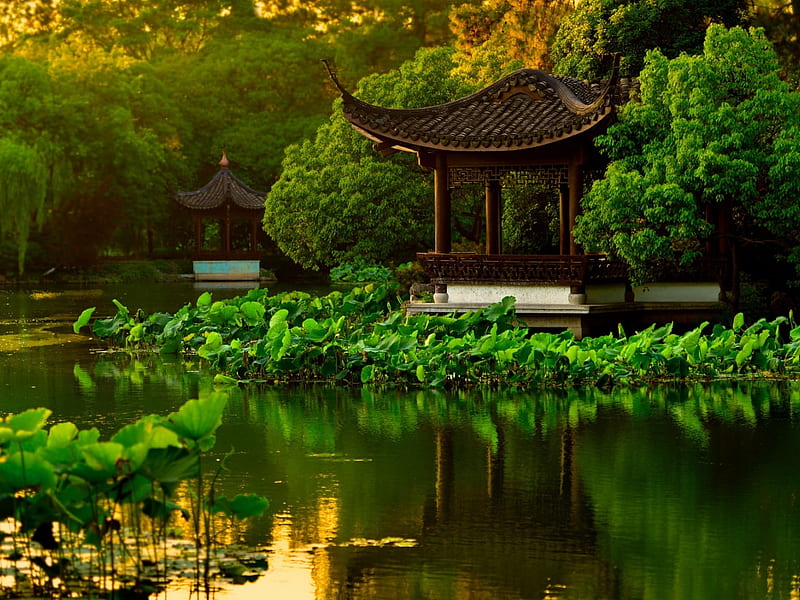 Lotus Pond,China, pond, forest, lotus, pagoda, garden, nature, trees, HD wallpaper