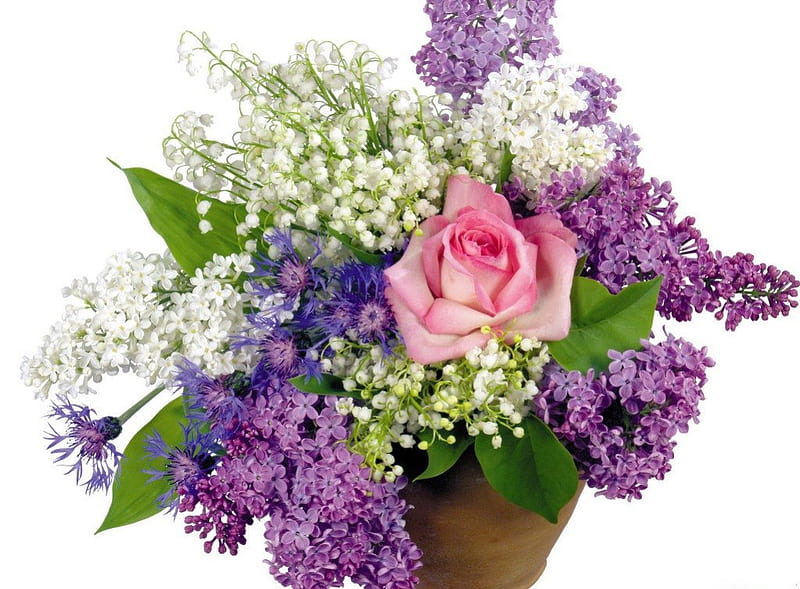 POSY OF LILACS, lily of the valley, purple, bouquets, lavender, roses, white, lilacs, pink, HD wallpaper