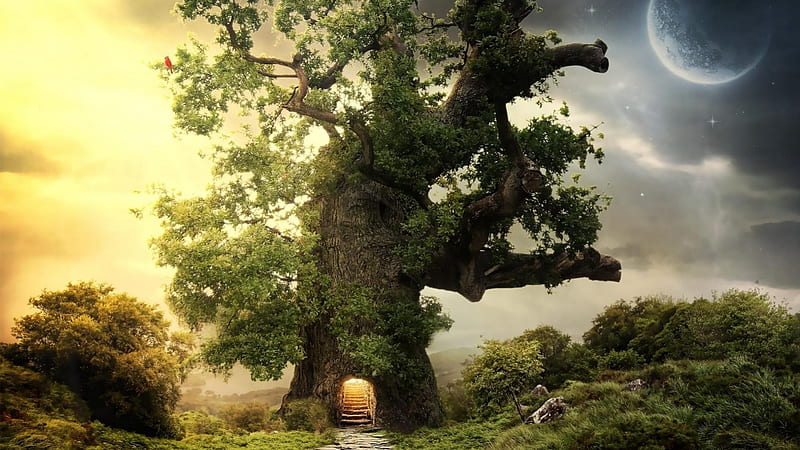 Treehouse, tree, fantasy, light, HD wallpaper