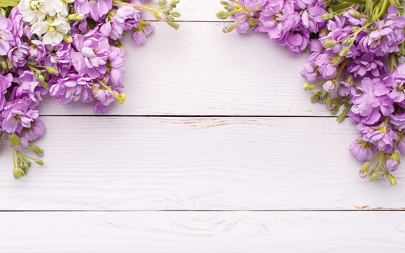 frame of purple flowers, spring frame, white wooden background, wooden texture, spring, HD wallpaper