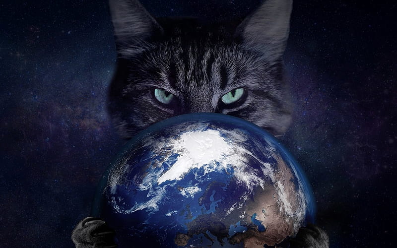 cat with globe, creative, Earth, artwork, cat, space, globe, cat in space, HD wallpaper