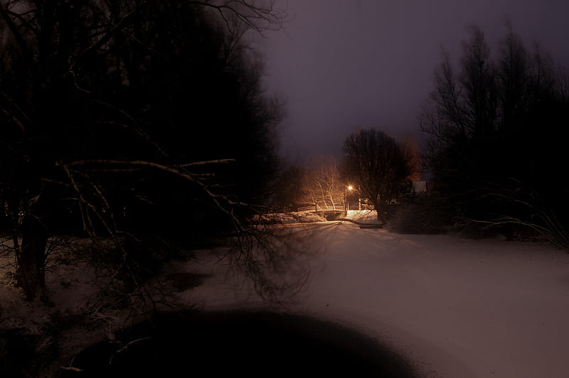 Light in the winter, park, trees, sky, winter, cold, snow, bridge ...