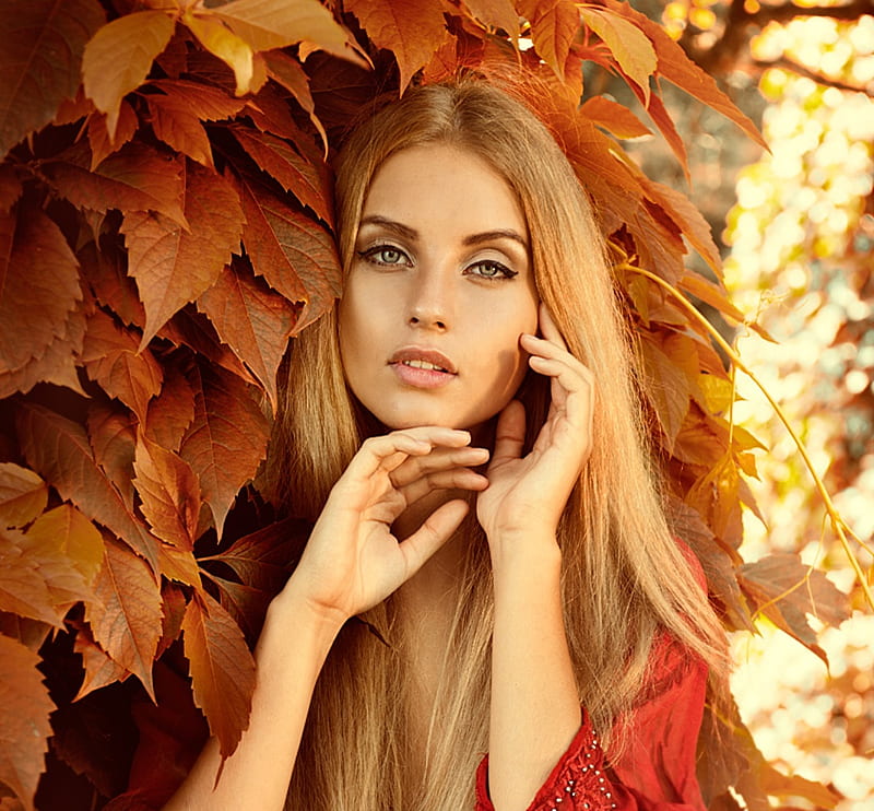 Colors of autumn, stare, fall, autumn, sunny, bonito, hair, hands, leaves, golden colors, beauty, nature, beautiful lady, HD wallpaper