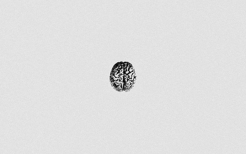 human brain, white paper background, mind, paper texture, mind concepts, intelligence, brains, HD wallpaper