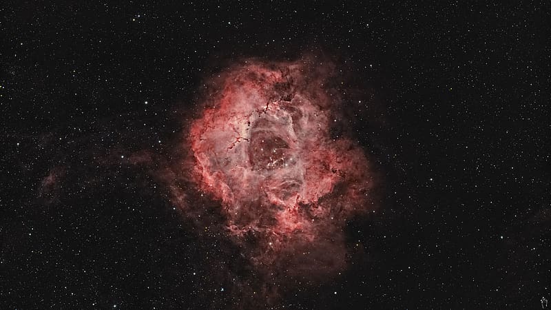 rosette nebula, nebula, space, stars, HD wallpaper