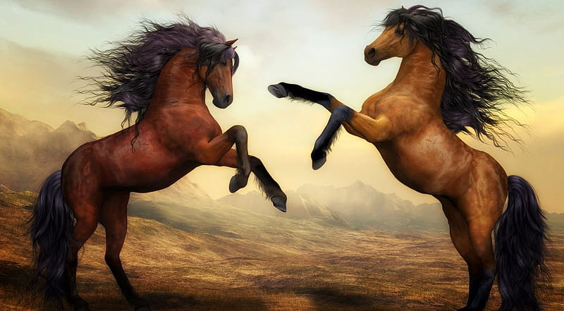 Two horses fighting, wilderness, wild, wild horse, wildlife, nature, horse, wild animals, horses, HD wallpaper