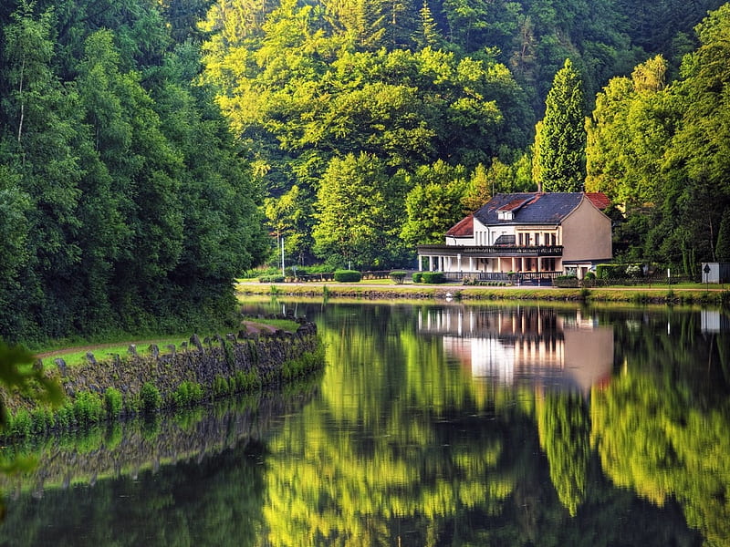 House Close to Nature, forest, house, green, lawn, reflection, road, trees, lake, HD wallpaper