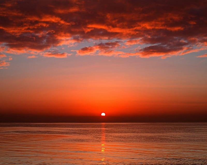 Sun rise, skies, red, dawn, sun, cloud, rise, HD wallpaper