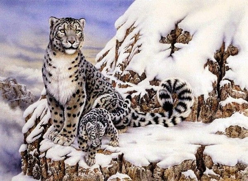 Mother And Babies In Snow Mountains, Mountains, Snow, Babies, Mother, Leopard, HD wallpaper