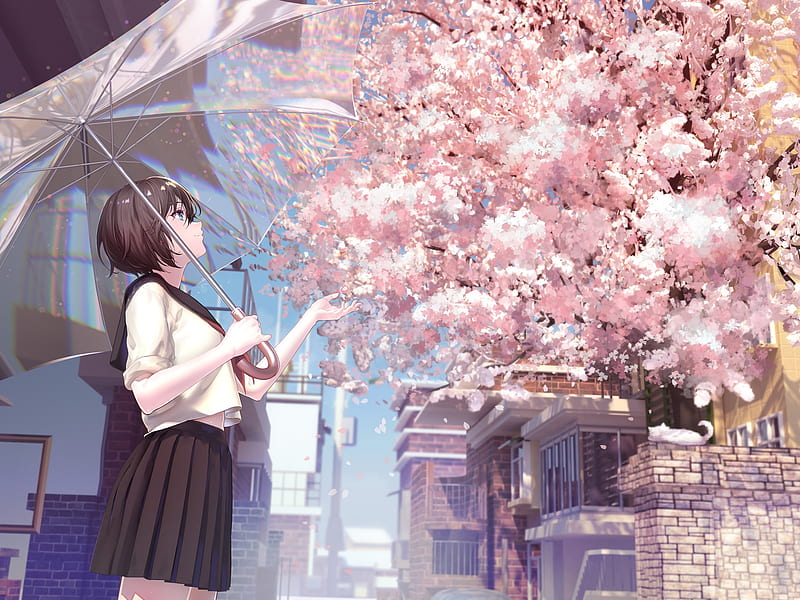 anime school girl, sakura blossom, umbrella, short hair, petals, Anime, HD wallpaper