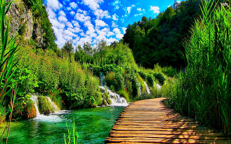 PARK WALKWAY, National Park, Plitvice Lakes, turquoise lakes, World Heritage, waterfalls, HD wallpaper