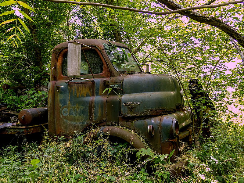 Rusty Old Dodge COE Flatbed Truck. On Tom's farm in Batavia, HD wallpaper