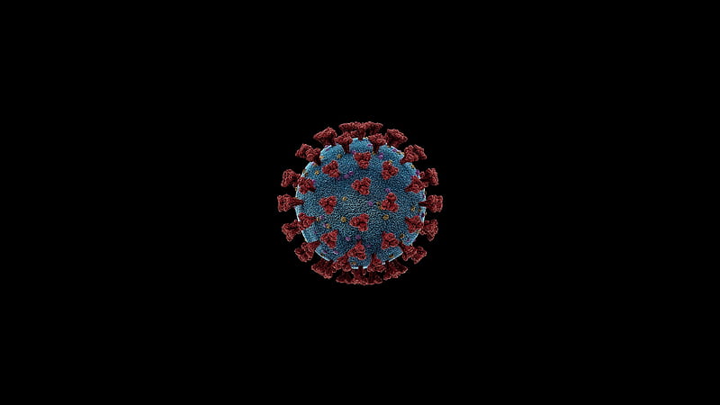 Coronavirus Covid 19, HD wallpaper