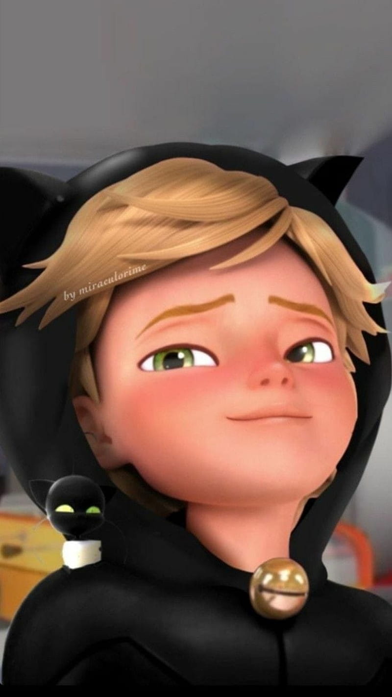 Adrien Agreste Cat Noir Miraculous Hd Mobile Wallpaper Peakpx | The ...