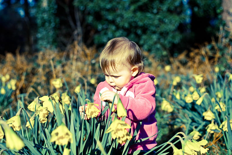 I found flower, mom....., little, girl, daffodils, flowers, bonito, field, HD wallpaper