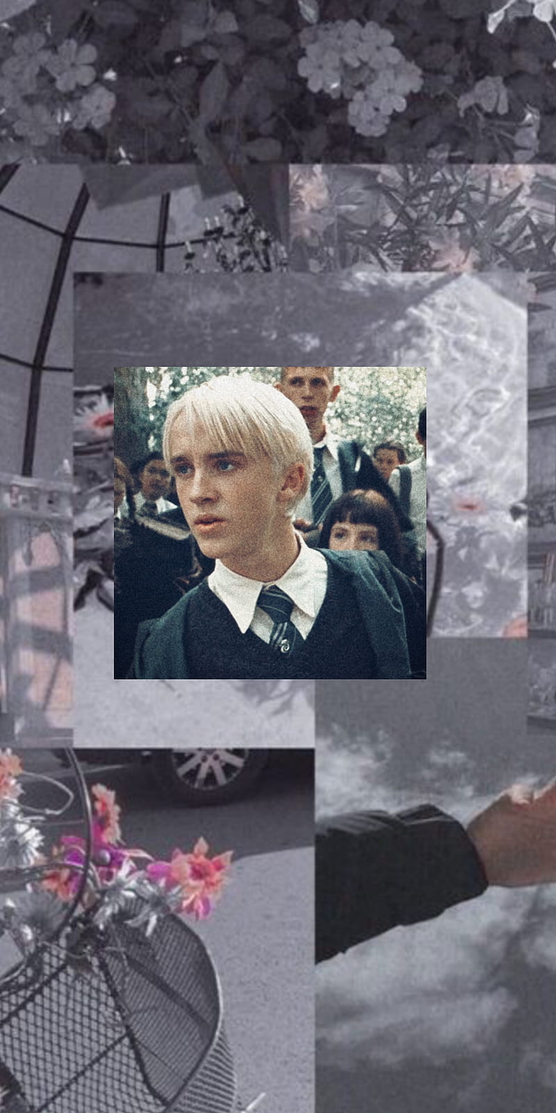 Draco, malfoy, HD phone wallpaper | Peakpx