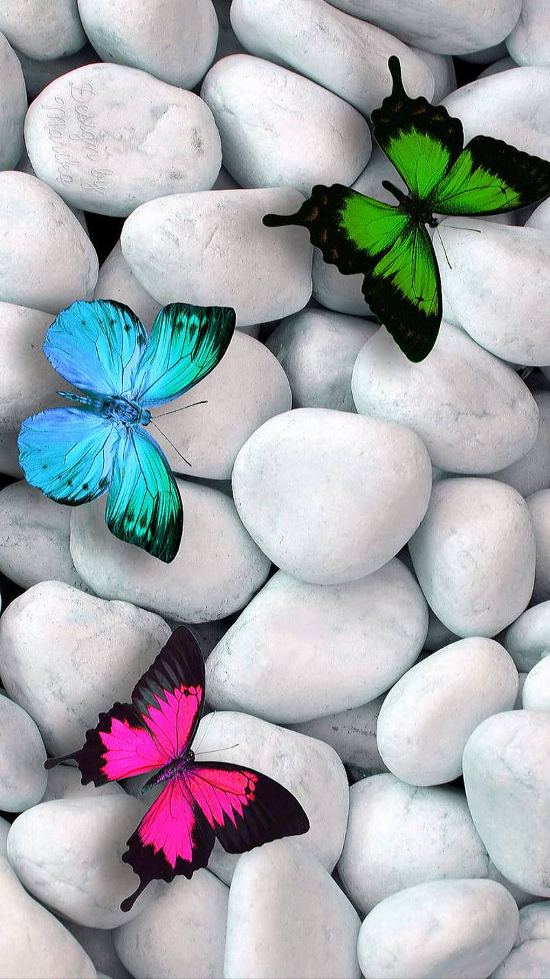 butterflies, green pink and teal, HD phone wallpaper