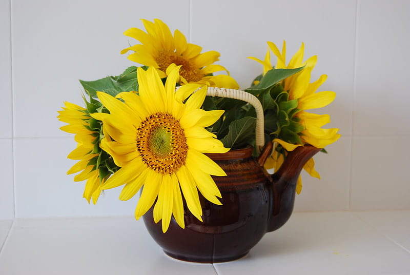 Char clay with SunFlowers ~~, sun, brown, yellow, char clay, sunflowers, love, bright, magnificent, light, gorgeous, sparkling, happiness, happy, entertainment, fashion, white, god, HD wallpaper