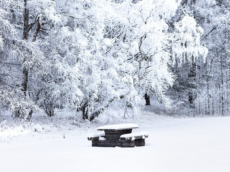 Snow Covered Picnic Table, Bench, Trees, Winter Ultra, Seasons, Winter, White, Trees, Table, Bench, Sweden, Snow, Snowy, Outdoor, canon, uppsala, 100400mm, rime, rimeice, canonef100400mmf4556lisiiusm, f4556l, canoneosr, Bolanderna, HD wallpaper