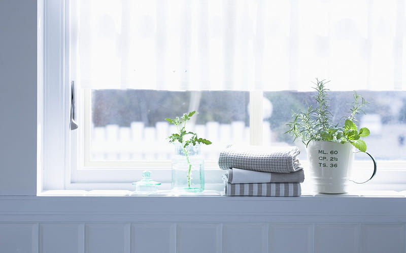 Bright window, window, fresh, interior, towels, apartment, green, plants, precious, flowers, morning, room, HD wallpaper