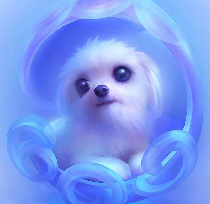 ANIME DOG, BLUE, DOG, WHITE, ANIME, HD wallpaper | Peakpx