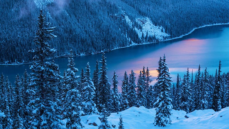 Peyto Lake, Banff NP, Alberta, water, snow, ice, trees, canada, rocks, HD wallpaper