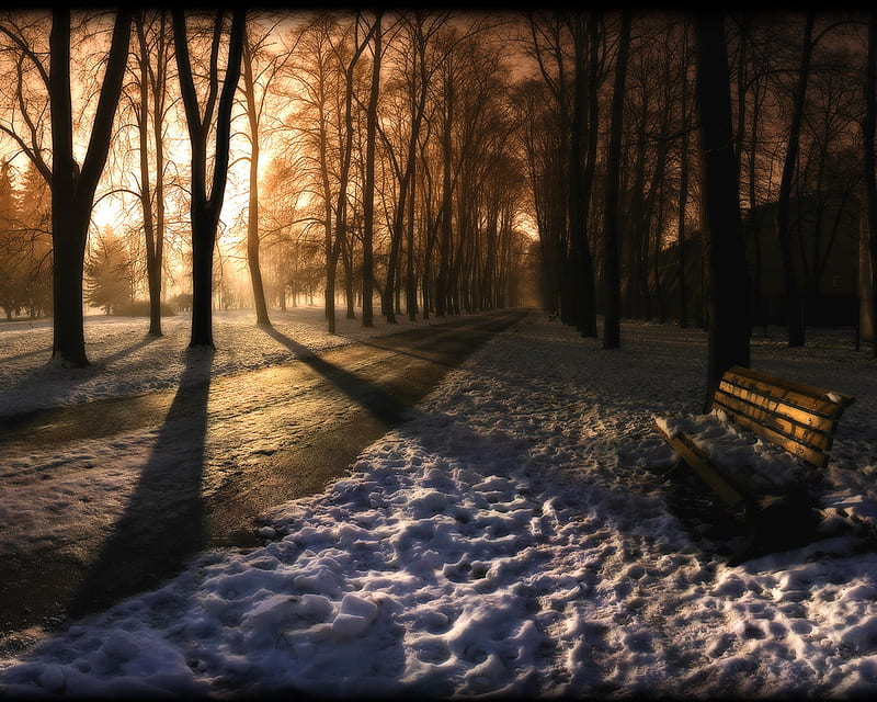 This makes me tak a deep breath !, forest, bench, bonito, sun rise, sky, scenary, sun set, nice, cool, snow, nature, HD wallpaper
