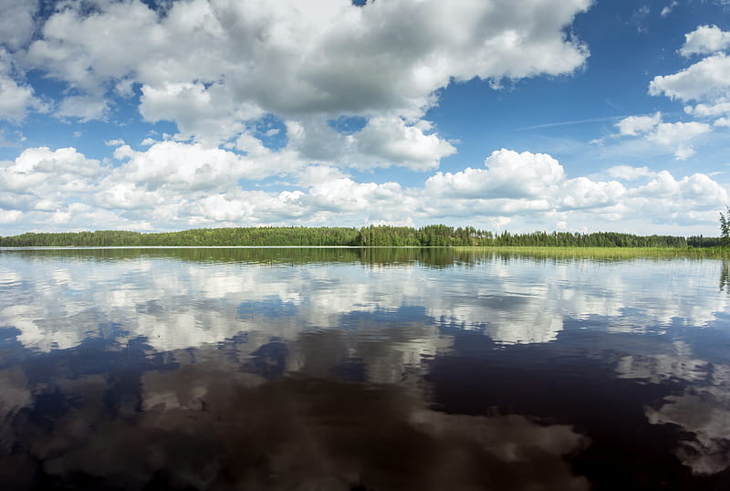 green metal fence near lake under blue sky and white clouds during daytime, HD wallpaper