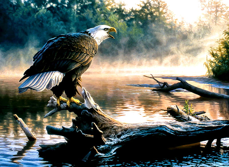 Scouting the River - Eagle, art, eagle, bonito, illustration, artwork, animal, bird, bald eagle, avian, painting, wide screen, wildlife, nature, river, raptor, HD wallpaper