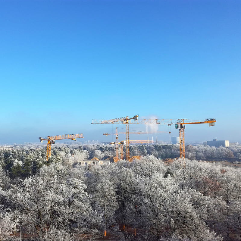 Winter in Berlin, crane, forest, snow, snowfall, construction site, cross, yellow, heaven, HD phone wallpaper