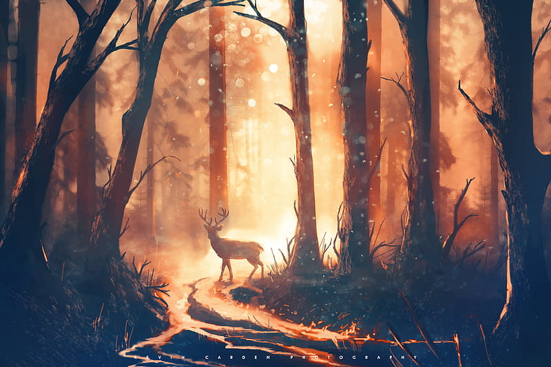 Deer Forest Sunbeams, deer, forest, artist, artwork, digital-art, HD wallpaper