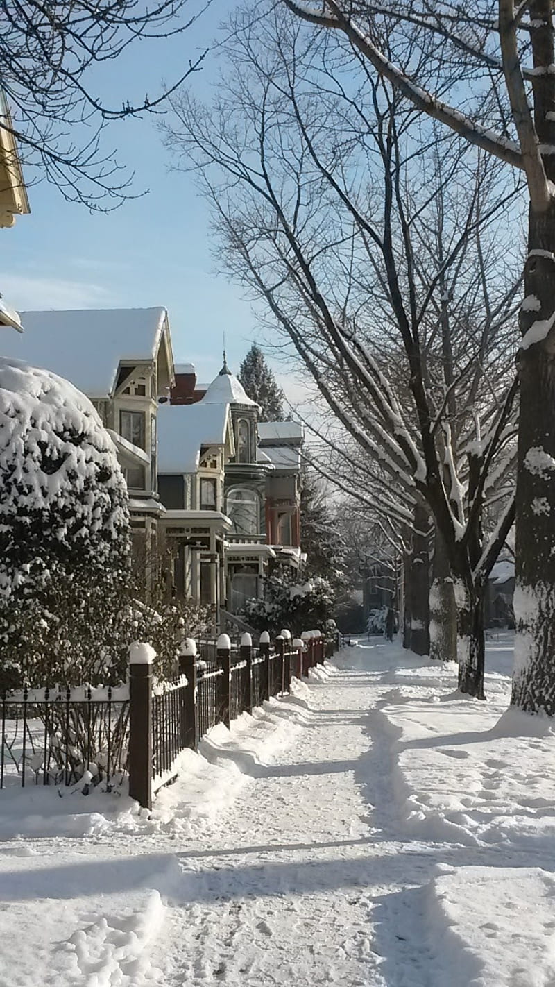 Saint Paul winter, cold, minnesota, snow, sunshine, victorian houses, HD phone wallpaper