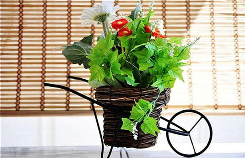 Wheelbarrow of flowers, vert, flowers, rouge, marron, HD wallpaper