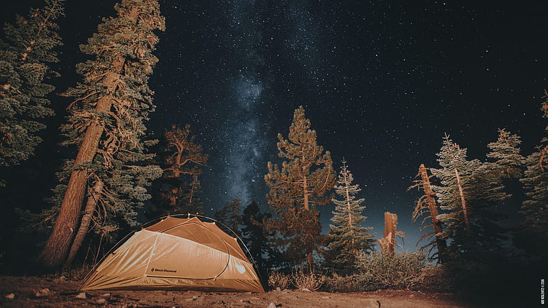 Campsite, Camping, HD wallpaper
