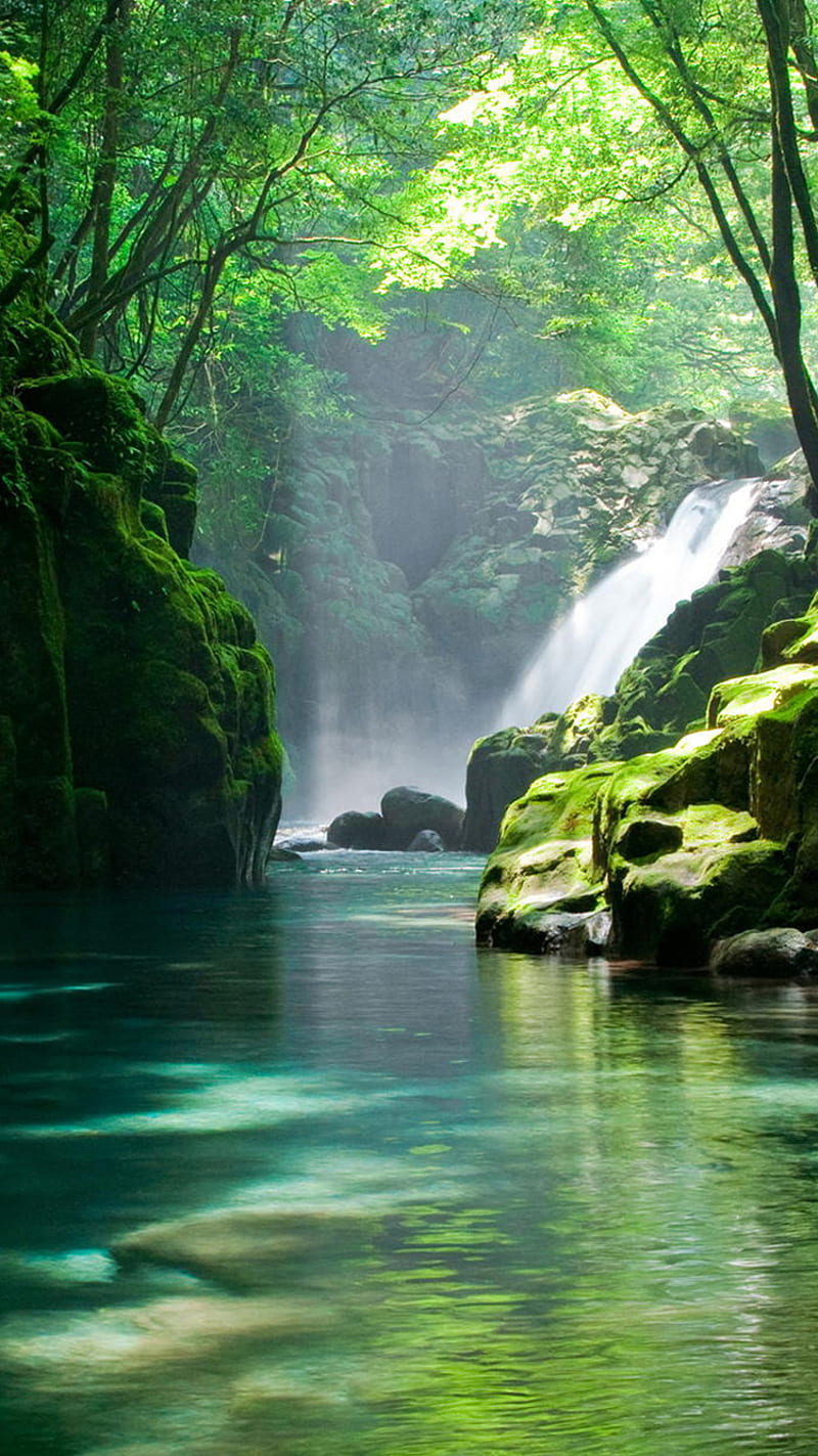 Mountain creek, green, nature, trees, water, HD phone wallpaper