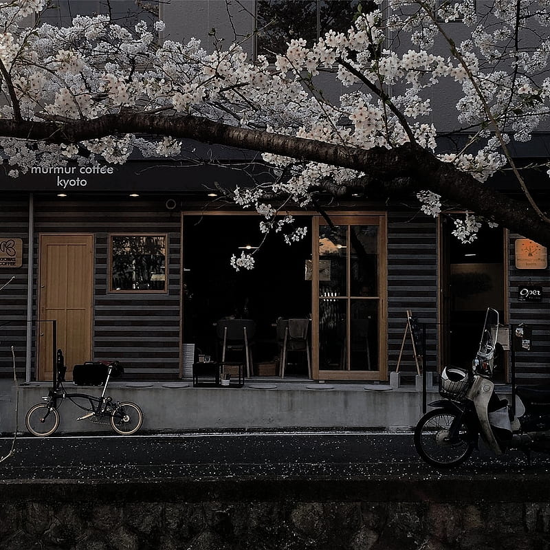 ˏˋ ˎˊ˗. Aesthetic japan, City aesthetic, Aesthetic, 1080X1080 Japanese, HD phone wallpaper