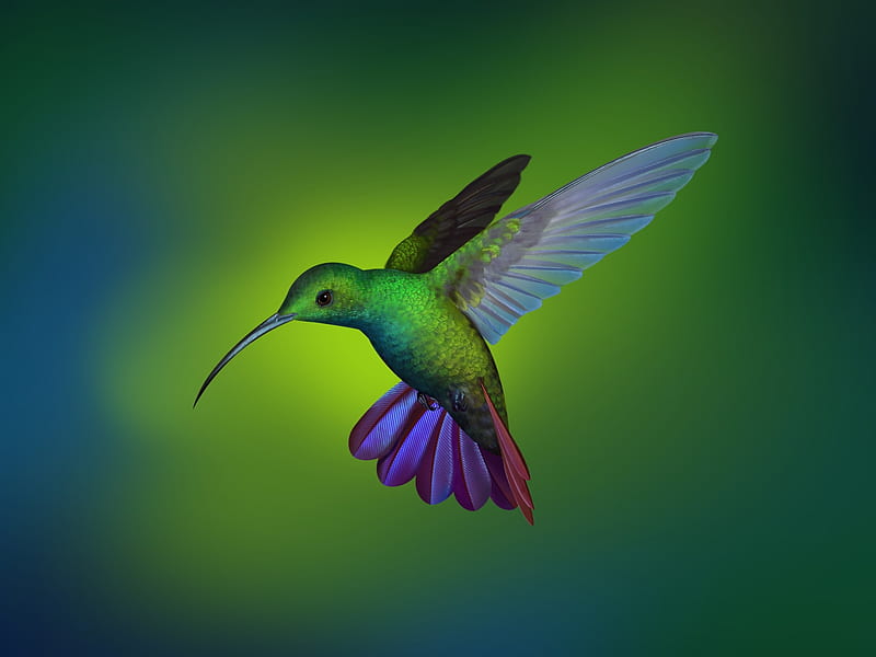 Hummingbird, blue, linux, fantasy, luminos, green, colibri, HD wallpaper