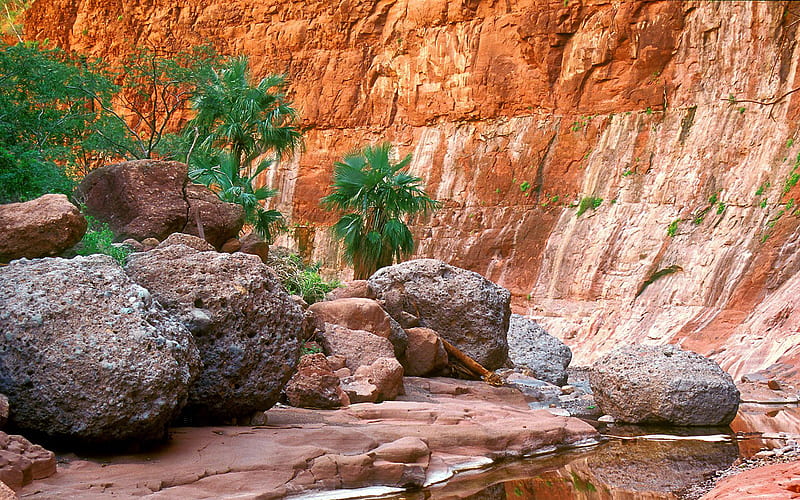 Both Lush and Arid, rocks, orange, trees, palms, water, dry, boulders, cliff, ochre, HD wallpaper
