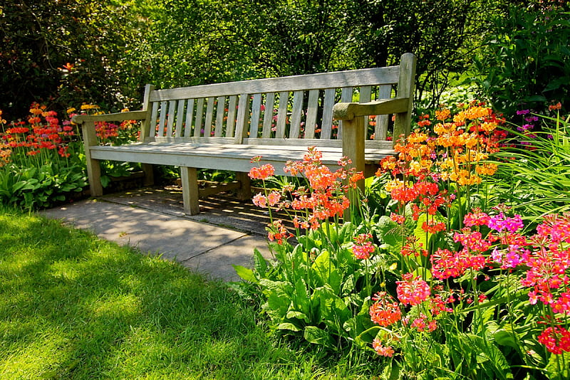 Garden bench, rest, grass, relax, greenery, bench, park, trees, summer, flowers, garden, HD wallpaper