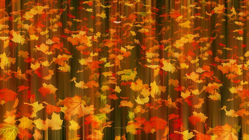 Caída en movimiento, bosque, otoño, naturaleza, hojas, Fondo de pantalla HD  | Peakpx