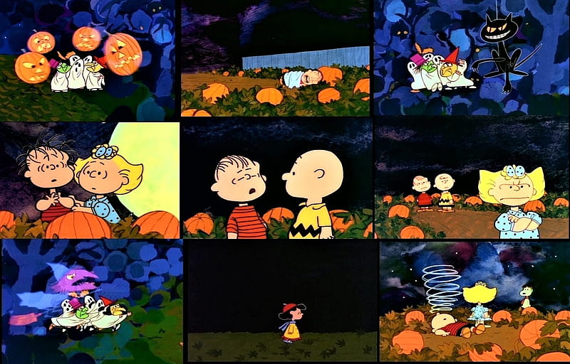 It's The Great Pumpkin Charlie Brown, Charlie Brown, Halloween, Great Pumpkin, Cartoon, HD wallpaper