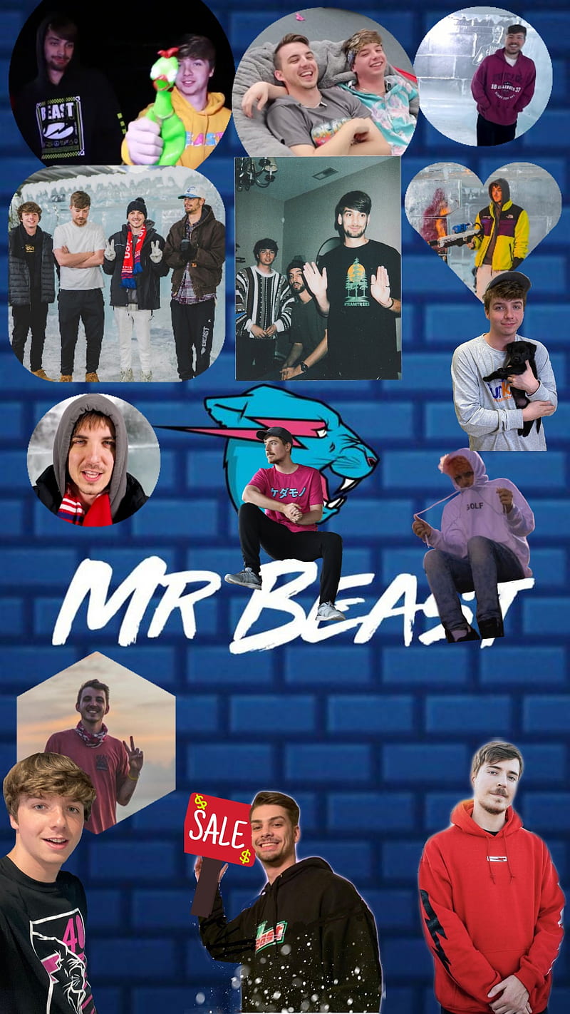 Mr Beast Crew, chandler hallow, christhememegod, karl jacobs, mr beast, HD phone wallpaper